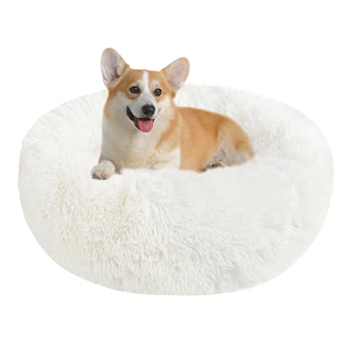 Hundebett Katzenbett Flauschig Rund aus Plüsch - Donut Kuscheliges Hundekissen Hundekorb Waschbar S/M/L/XL/XXL für Kleine, Mittelgroße und Große Hunde, Katzen und Andere Haustiere (L-60cm, Weiß) von Nepfaivy