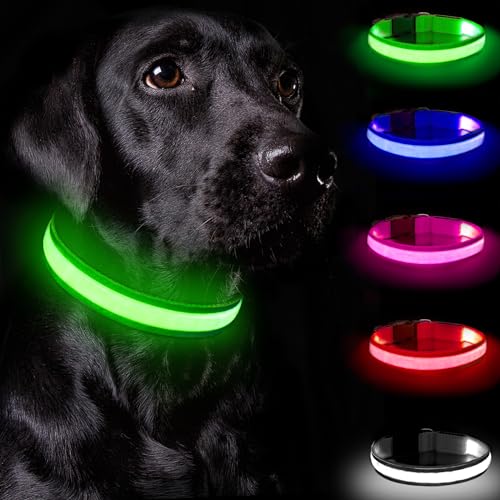 Nepfaivy Leuchthalsband Hund USB Aufladbar - Hundehalsband Leuchtend mit Verstellbarer Länge für Mittelgroße bis Große Hunde, LED Halsband Hund mit 3 Beleuchtungsmodi für Nacht Sicherheit, (Grün-M) von Nepfaivy