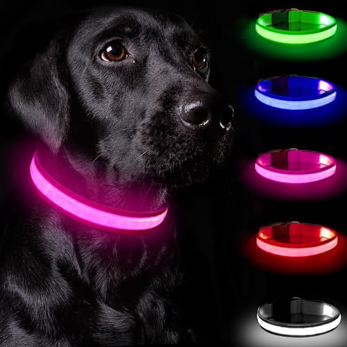 Nepfaivy Leuchthalsband Hund USB Aufladbar - Hundehalsband Leuchtend mit Verstellbarer Länge für Mittelgroße bis Große Hunde, LED Halsband Hund mit 3 Beleuchtungsmodi für Nacht Sicherheit, (Rosa-S) von Nepfaivy