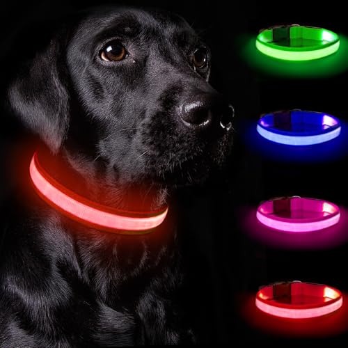 Nepfaivy Leuchthalsband Hund USB Aufladbar - Hundehalsband Leuchtend mit Verstellbarer Länge für Mittelgroße bis Große Hunde, LED Halsband Hund mit 3 Beleuchtungsmodi für Nacht Sicherheit, (Rot-S) von Nepfaivy