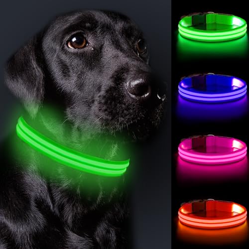 Nepfaivy Leuchthalsband Hund USB Aufladbar - Hundehalsband Leuchtend Wasserdicht mit Verstellbarer Länge, LED Halsband Hund für Große Hunde mit 3 Beleuchtungsmodi für Nacht Sicherheit, Grün - L von Nepfaivy