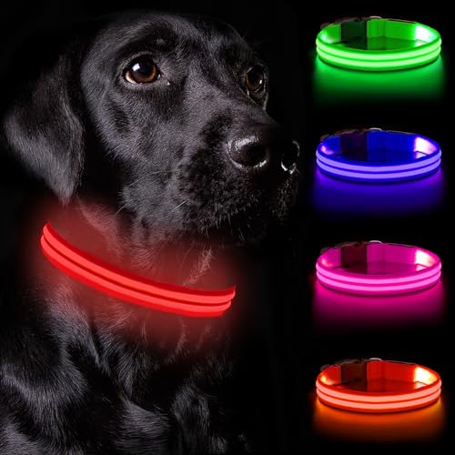 Nepfaivy Leuchthalsband Hund USB Aufladbar - Hundehalsband Leuchtend Wasserdicht mit Verstellbarer Länge, LED Halsband Hund für Kleine Hunde mit 3 Beleuchtungsmodi für Nacht Sicherheit, Rot- S von Nepfaivy