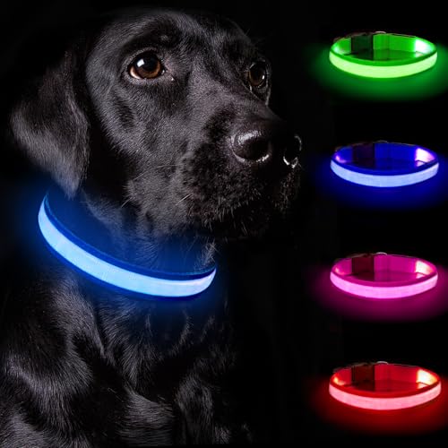 Nepfaivy Leuchthalsband Hund USB Aufladbar - Hundehalsband Leuchtend mit Verstellbarer Länge für Kleine Mittlere Große Hunde, LED Halsband Hund mit 3 Beleuchtungsmodi für Nacht Sicherheit, (Blau-S) von Nepfaivy