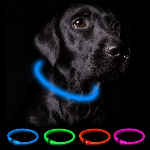 Nepfaivy Leuchthalsband Hund USB Aufladbar - Wasserdichtes Hundehalsband Leuchtend mit 3 Beleuchtungsmodi, Längenverstellbareres LED Halsband für Kleine, Mittlere und Große Hunde (Blau) von Nepfaivy