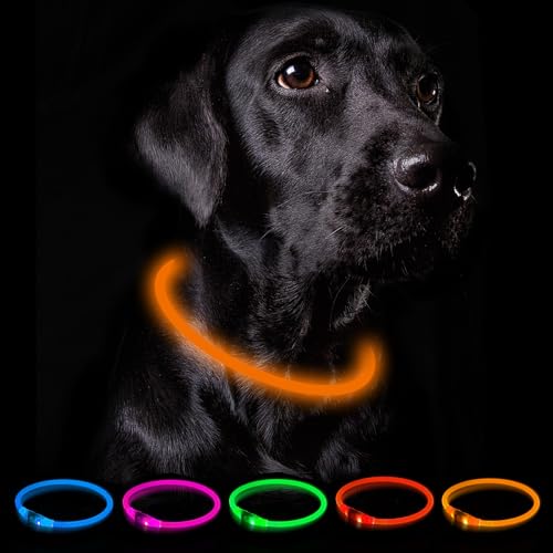 Nepfaivy Leuchthalsband Hund USB Aufladbar - Wasserdichtes Hundehalsband Leuchtend mit 3 Beleuchtungsmodi, Längenverstellbareres LED Halsband für Kleine, Mittlere und Große Hunde (Orange) von Nepfaivy