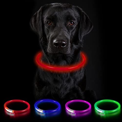 Nepfaivy Leuchthalsband für Hund USB Aufladbar - Leuchtendes Hundehalsband Wasserdicht mit 3 Beleuchtungsmodi, Längenverstellbareres LED Halsband für Große und Mittlere Hunde (Rot-B) von Nepfaivy
