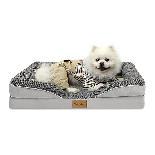 Nepfaivy Orthopädisches Hundebett Kleine Hunde - Hundekorb Hundesofa Waschbar mit Eiförmigem Kistenschaum, Hundecouch mit Hohem Rand und Rutschfestem Boden für Kleine Hunde, 76x55cm von Nepfaivy