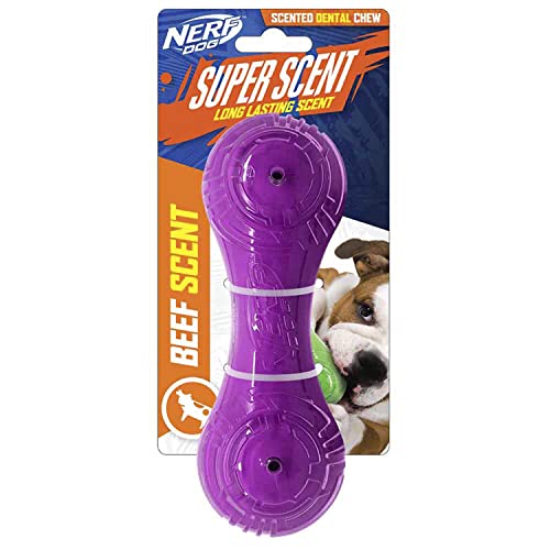 NERF Scent Barbell Beef - SGL von Nerf Dog