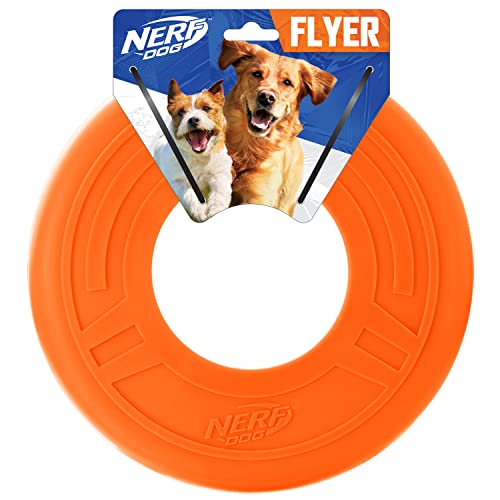 Nerf Atomic Flyer Hundespielzeug – Bright Blau von Nerf Dog