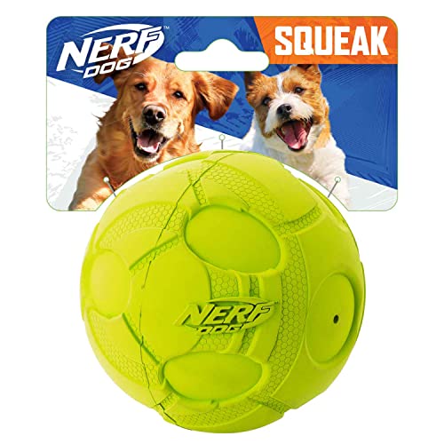 Nerf Dog Quietschball, 9,7 cm, Grün von Nerf Dog