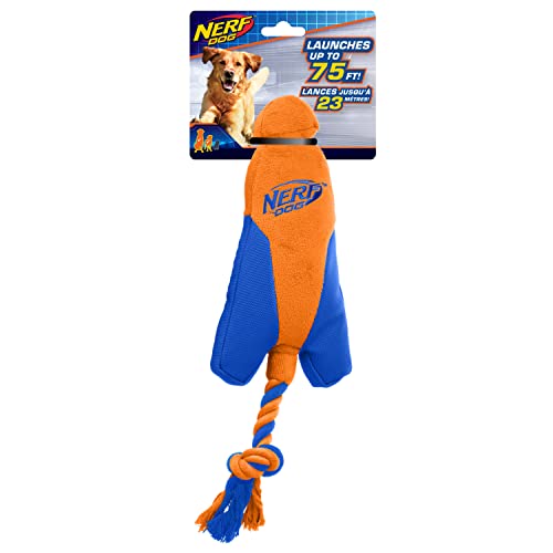 Nerf Dog Trackshot Pfeilspitzenwerfer mit interaktivem Design, ideal zum Apportieren, startet bis zu 22,9 m, Einzeleinheit, Blau/Orange von Nerf Dog