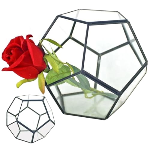 Geschlossenes Terrarium aus Glas für Pflanzen 7,1x7,1x5,5 Zoll geschweißtes Fünfeck-Glasterrarium mit Tür geometrisches geschlossenes Terrarium für Sukkulentenpflanzen Schwarz von Neroyaner