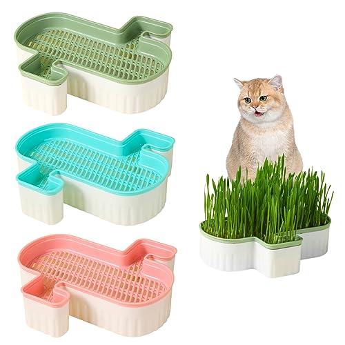 Neroyaner Cat Grass Pflanzer 3pcs Boden freies Katzengras Anbau Kit doppelte abnehmbare Katzengrassamenschale PP Samen Sprouter Tablett Katze Grasboxen für Hund Andere Haustier von Neroyaner