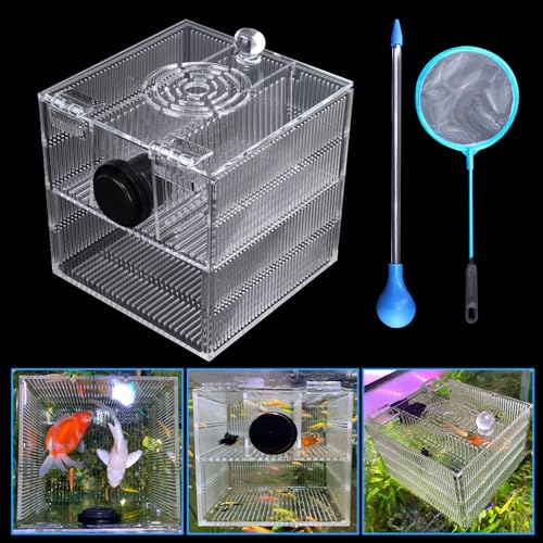 Magnetische Fischzüchterbox für Aquarien, Isolationsbox, Akklimatisierung, Brutkasten, Brutkasten für Guppy, Baby, Betta, Garnelen, Salzwasser, Clownfisch, Korallenanemonen, aggressive oder verletzte von NestBasics