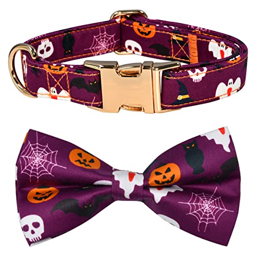 NestTimes Halloween-Fledermäuse, Geister, schwarze Katzen und Kürbisse, Hundehalsband, abnehmbare Fliege, verstellbares Halsband für kleine, mittelgroße und große Hunde, L (35,6 - 53,3 cm) von NestTimes