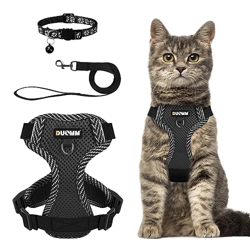 NeuWook Katzengeschirr mit Leine, Katzenleine mit Geschirr für Katzen, Brustgeschirr Cat Harness Katzengarnitur ausbruchsicher verstellbar Katzenweste (Schwarz, S) von NeuWook