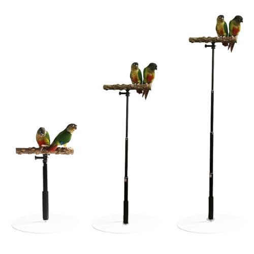 Bird Perch Stand - Wooden Desktop Play Stand for Birds, Parrot Play Stand | Pet Bird Training Stand Wooden Retractable Perch Rack for Parrots Parakeets, Bird Desktop Comfortable Toys von NevPuose