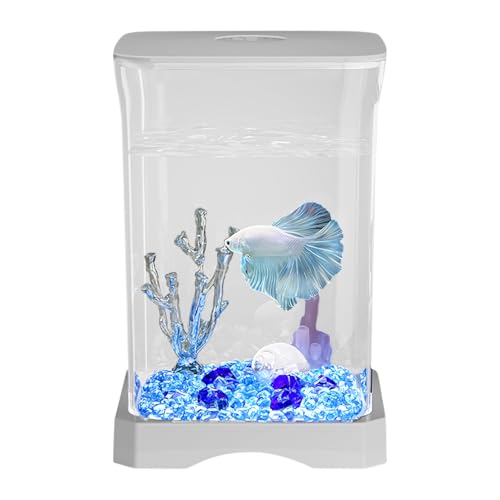 Fisch Showcase Container - Elegante Ansicht Wasserkugel, Tischplattenbox | Dekoratives LED -Displaybecken, kompaktes Betta -Lebensraum, Innenschalentank, Apartment -Ecke -Display, stilvolle Theke Deko Fisch Showcase Container - Elegante Ansicht Wasserkugel, Tischplattenbox | Dekoratives LED -Displaybecken, kompaktes Betta -Lebensraum, Innenschalentank, Apartment -Ecke -Display, stilvolle Theke Deko von NevPuose
