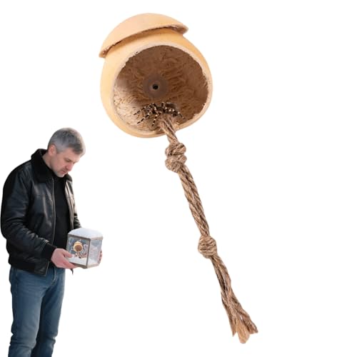 NevPuose Spinnengehege – Springspinnengehege aus natürlichem Holz, Reptilienzubehör, Landschafts-Terrarium- mit Saugnapf für die Zucht, Fütterung, Zuhause NevPuose Spinnengehege – Springspinnengehege aus natürlichem Holz, Reptilienzubehör, Landschafts-Terrarium- mit Saugnapf für die Zucht, Fütterung, Zuhause von NevPuose