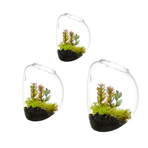 NewDreamWorld's Set mit 3 verschiedenen Größen von Aquarien, Terrarien für den Innenbereich, Glasvase, Mauer-Terrarien, Sukkulenten-Übertopf, Wand-Luftpflanzenhalter von KnikGlass