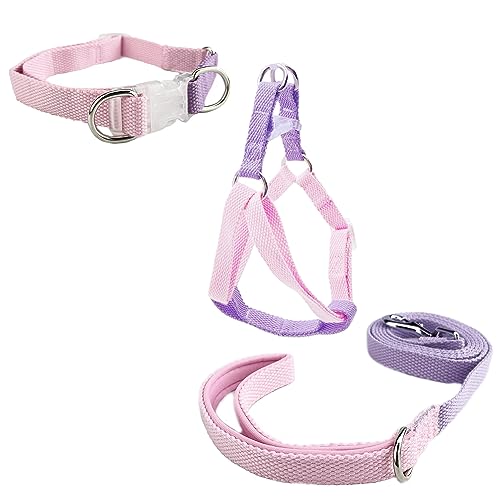 Newtensina 3 Stücke Clashing Colors Polyester Hundehalsband Geschirr mit Leinen für Hunde - Rosa Lila - S von Newtensina