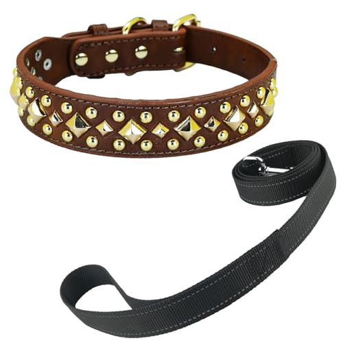 Newtensina Anti Bite Nieten Hundehalsband und Leine Welpenhalsband mit goldenem Spike für kleine Hunde große Hunde (0013) - Braun - S von Newtensina