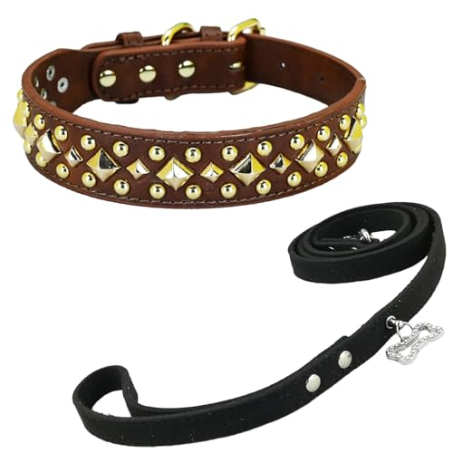 Newtensina Anti Bite Nieten Hundehalsband und Leine Welpenhalsband mit goldenem Spike für kleine Hunde große Hunde (0018) - Braun - M von Newtensina