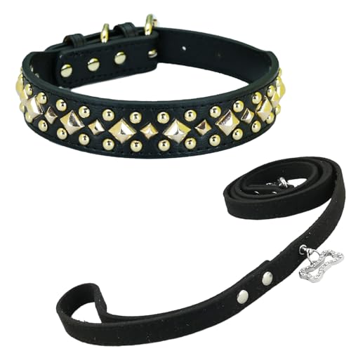 Newtensina Anti Bite Nieten Hundehalsband und Leine Welpenhalsband mit goldenem Spike für kleine Hunde große Hunde (0018) - Schwarz - XS von Newtensina