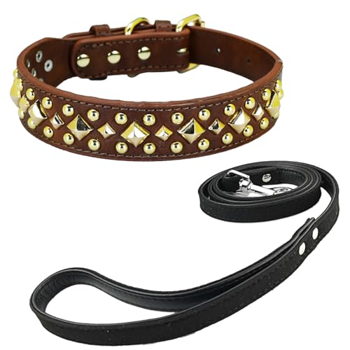 Newtensina Anti Bite Nieten Hundehalsband und Leine Welpenhalsband mit goldenem Spike für kleine Hunde große Hunde (0020) - Braun - XS von Newtensina