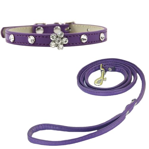 Newtensina Bling Welpe Kragen Niedlich Hundehalsband und Leine mit Diamanti für kleine Hunde Katzen - Lila - XXS von Newtensina