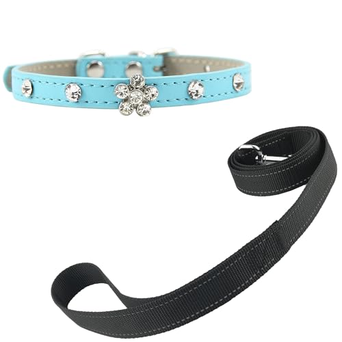 Newtensina Bling Welpe Kragen Niedlich Hundehalsband und Schwarz Leinen mit Diamanti für kleine Hunde Katzen - Blau - XS von Newtensina