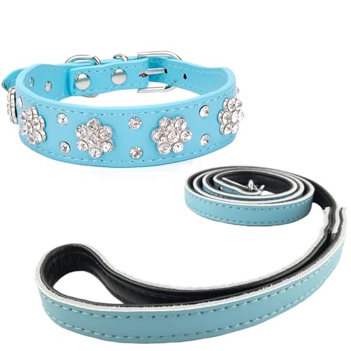 Newtensina Diamanti Blume Hundehalsband mit Leine für kleine Hunde - Blau - M von Newtensina