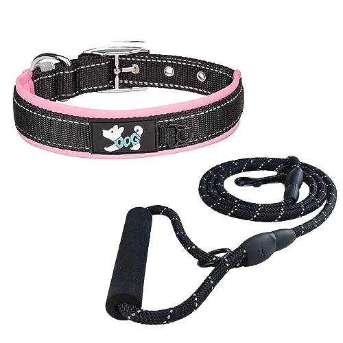 Newtensina Fashion 2 Stücke Reflektierende Clashing Farben Hundehalsband Leinen mit niedlichem Hunde-Design - Rosa - S von Newtensina