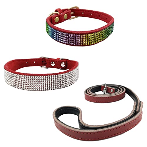 Newtensina Hundehalsband und Leine, buntes Hundehalsband mit Leine, für kleine Hunde, Rot, 3 Stück von Newtensina