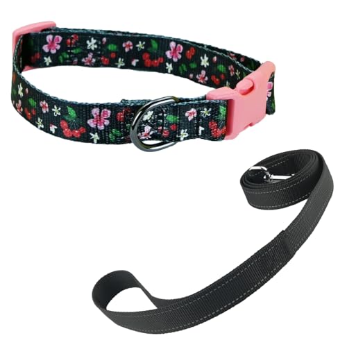 Newtensina Mode Blumenmuster Hundeleine und Hundehalsband Welpenhalsband für mittlere Hunde große Hunde (a) von Newtensina