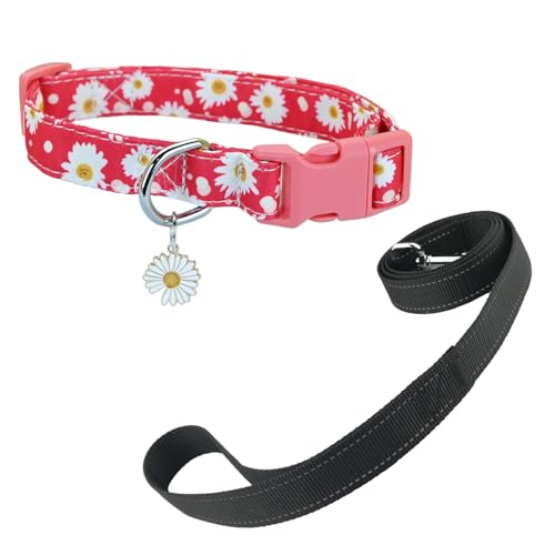 Newtensina Mode Blumenmuster Hundeleine und Hundehalsband mit einem Blütenblatt Anhänger für mittlere Hunde große Hunde (a) von Newtensina