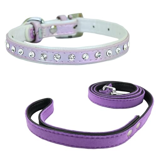 Newtensina Mode Hundehalsband Welpenhalsband mit Diamante für kleine Hunde (0071) von Newtensina