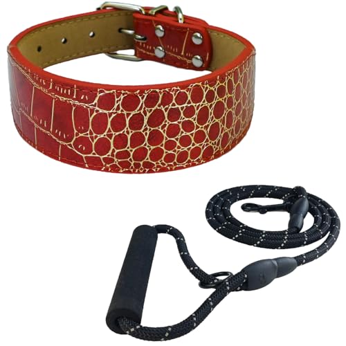 Newtensina Mode Hundehalsband Welpenhalsband mit Leine für kleine Hunde (l) von Newtensina