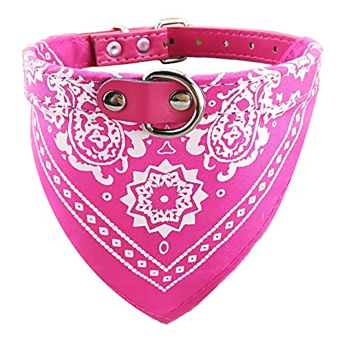 Newtensina Mode Hundebandana Halsband HundeHalsband Junge Mittel Bandana Hündchen Bandana mit Halsband für Hunde - ROSEO - L von Newtensina