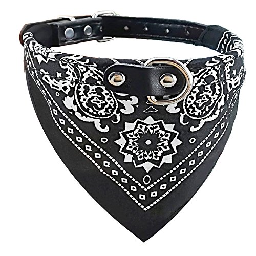 Newtensina Mode Hundebandana Halsband HundeHalsband Junge Mittel Bandana Hündchen Bandana mit Halsband für Hunde - Black - M von Newtensina