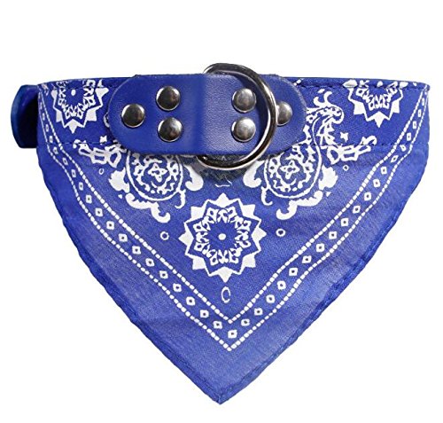 Newtensina Mode Hundebandana Halsband HundeHalsband Junge Mittel Bandana Hündchen Bandana mit Halsband für Hunde - Deep Blue - M von Newtensina