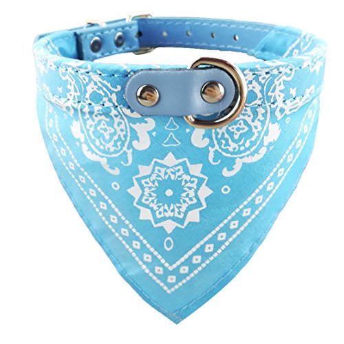 Newtensina Mode Hundebandana Halsband HundeHalsband Junge Mittel Bandana Hündchen Bandana mit Halsband für Hunde - Light Blue - L von Newtensina