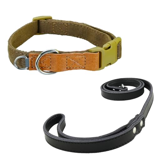 Newtensina Mode Weiches Polyester Baumwolle Hundehalsband und Leine Welpenhalsband mit expandierenden kleinen D-Ring Design für mittlere Hunde große Hunde (b) von Newtensina