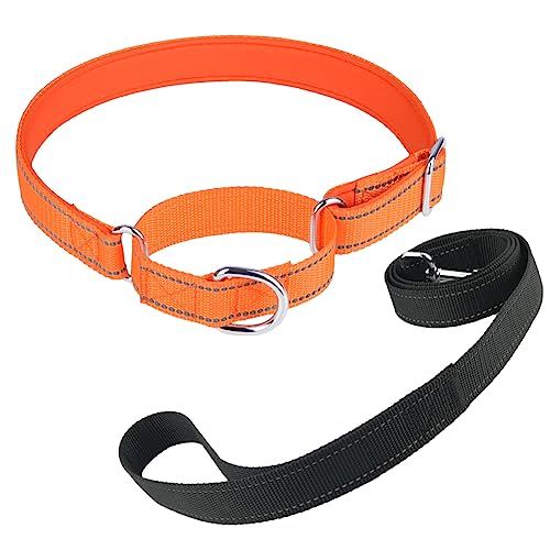 Newtensina Nylon Hund Choke Halsband weiche reflektierende Welpenkragen mit Leinen für mittlere Hunde große Hunde - Blau - s von Newtensina