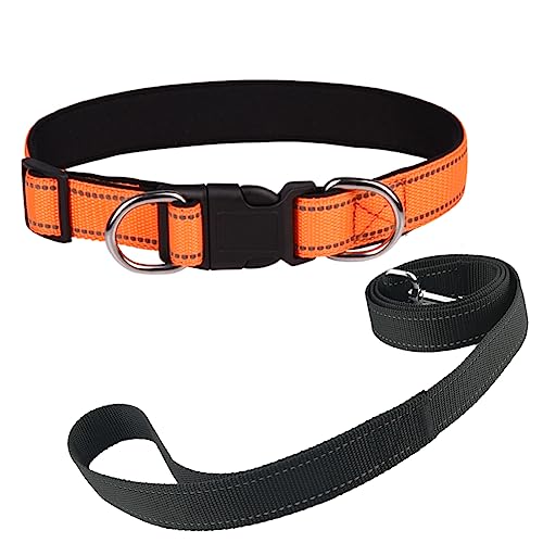 Newtensina Nylon Hundehalsband und Leine Weich Reflektierend Welpenhalsbänder mit Leinen für mittelgroße Hunde große Hunde - Orange - M von Newtensina