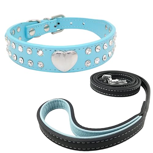 Newtensina PU Leder Niedliches Herz Hundehalsband und Leine für kleine Hunde - Blau - XXS von Newtensina