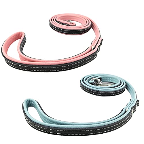 Newtensina Packung mit 2 Stück Stylish Pets Leinen Set Weiche, gepolsterte Leder Welpen Leinen für Hunde - 4 Fuß von Newtensina