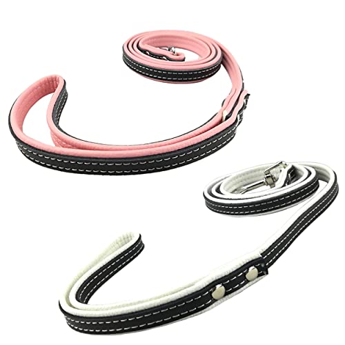 Newtensina Packung mit 2 Stück Stylish Pets Leinen Set Weiche, gepolsterte Leder Welpen Leinen für Hunde - 4 Fuß von Newtensina