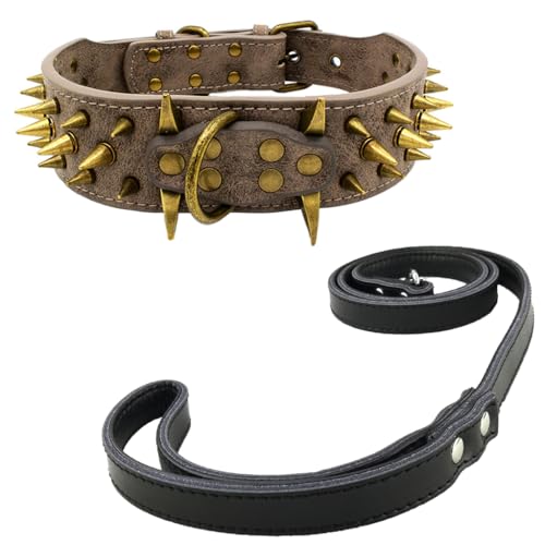 Newtensina Retro Bronze Nieten Hundehalsband und Leine Heavy Duty Hundehalsband mit Nieten für große Hunde (0039) - Schwarz - L von Newtensina