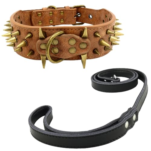 Newtensina Retro Bronze Nieten Hundehalsband und Leine Heavy Duty Hundehalsband mit Nieten für große Hunde (0039) - Schwarz - S von Newtensina